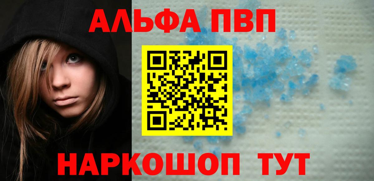 Альфа ПВП СК КРИС Петропавловск-Камчатский