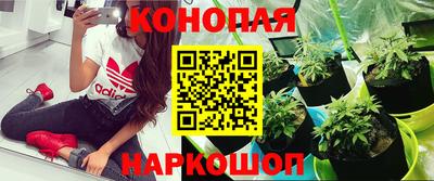 каннабис Будённовск