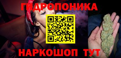 каннабис Будённовск