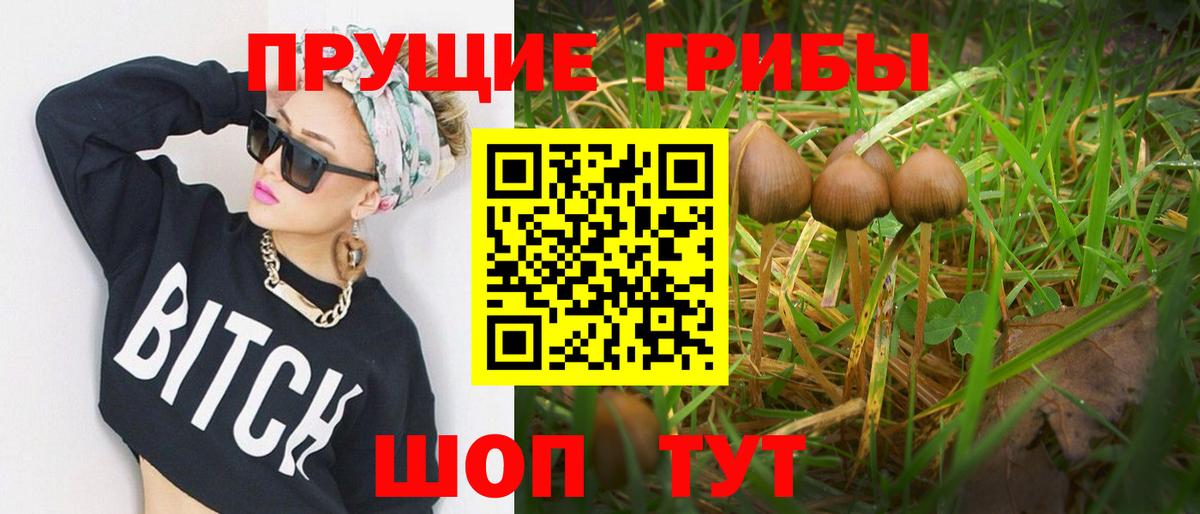 Псилоцибиновые грибы Psilocybine cubensis  Вход с VPN  Петропавловск-Камчатский 