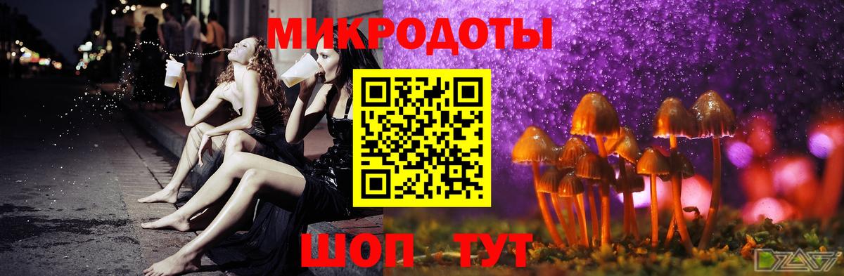 Галлюциногенные грибы мухоморы Петропавловск-Камчатский